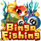 Bingo Fishing on flashscore
